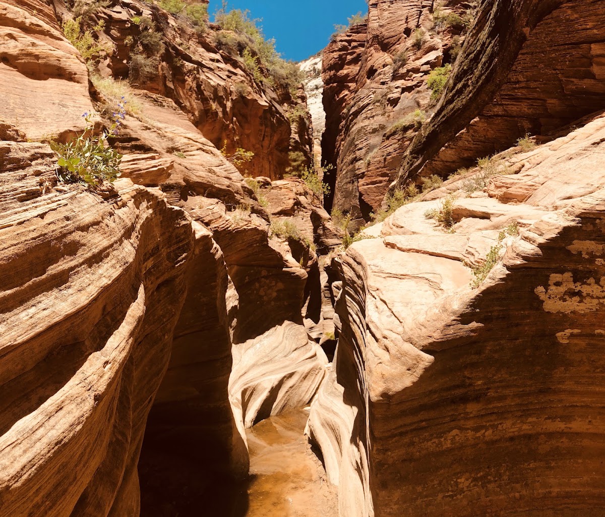 Middle Echo Canyon
