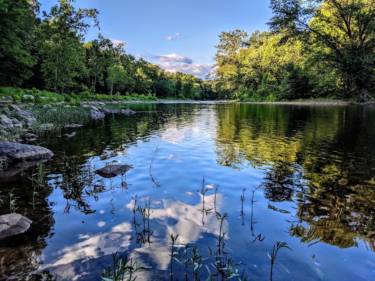 Cacapon River