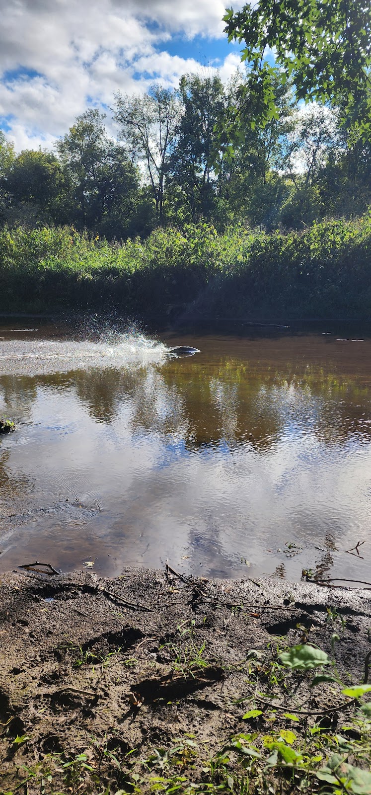 East Twin River