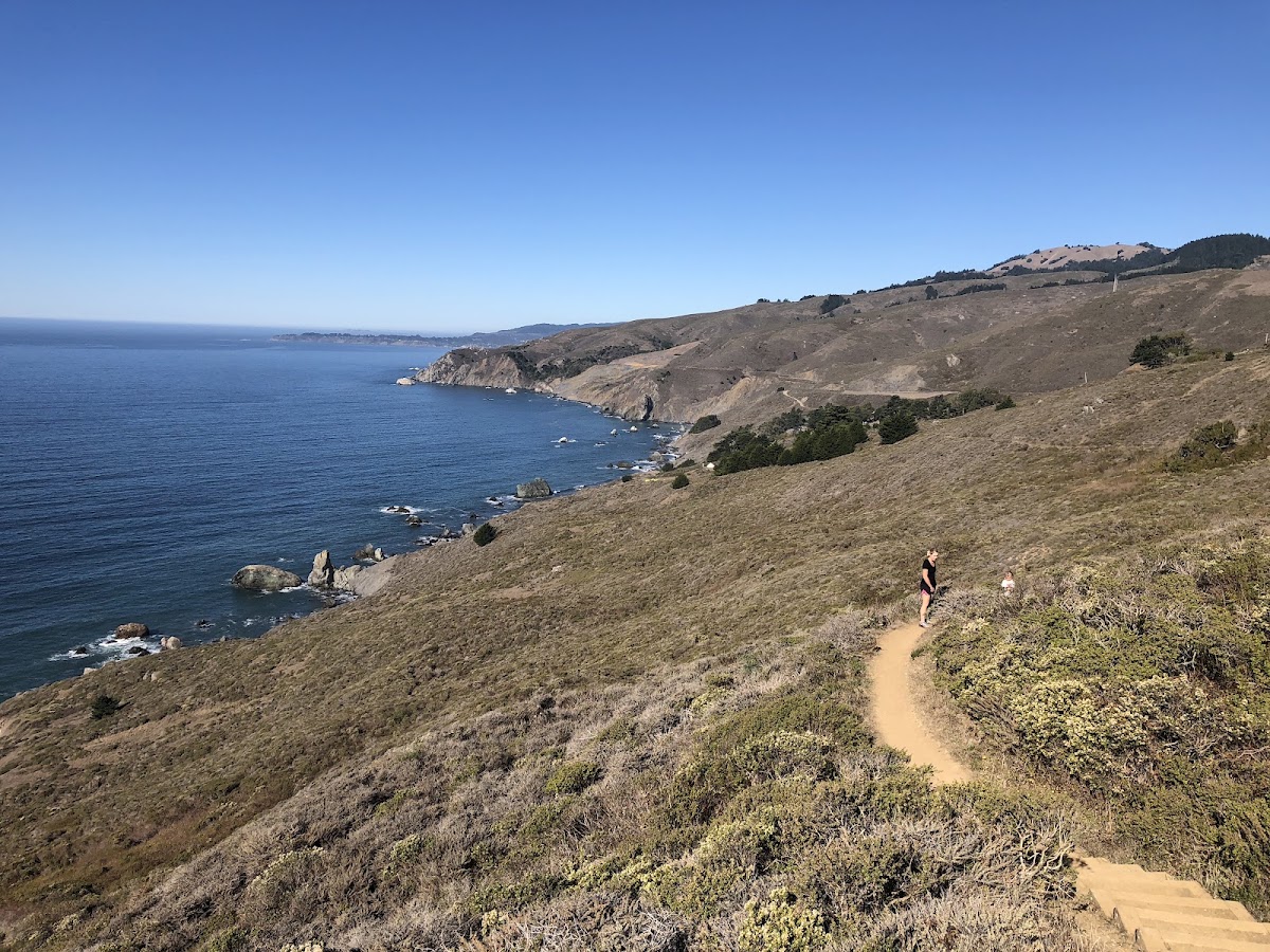 Owl Trail