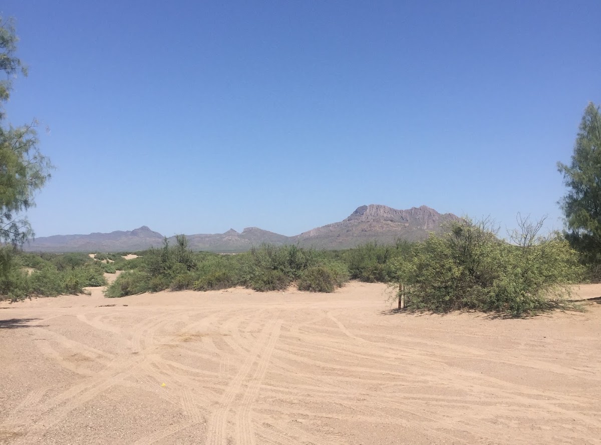 Hot Well Dunes Recreation Area
