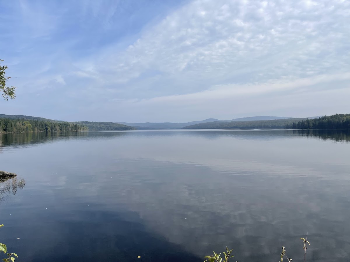 Lake Francis