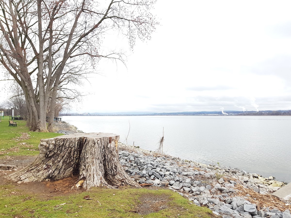 Onondaga Lake