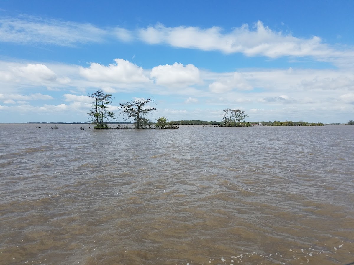 Grand Lake