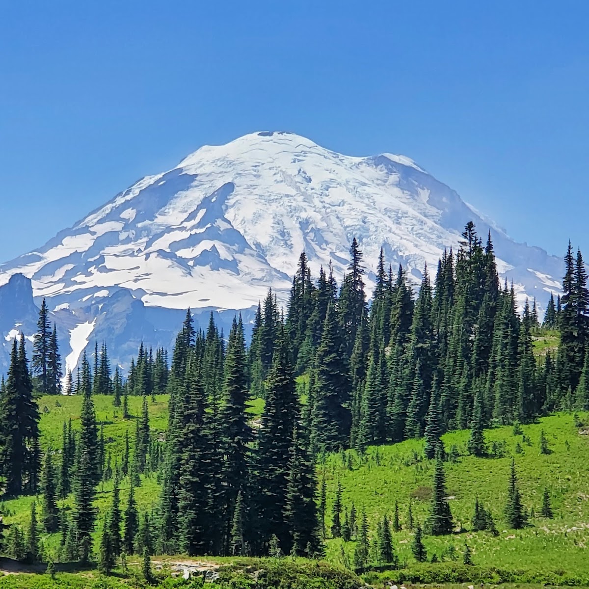 Naches Peak Loop Trail