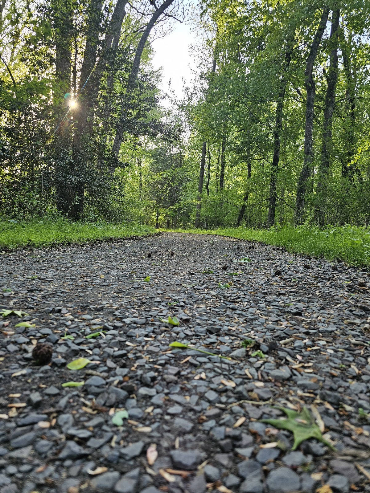 Holly Tract