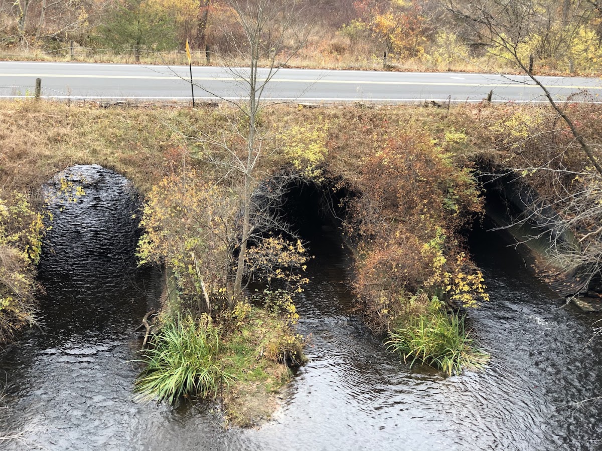 Fort River