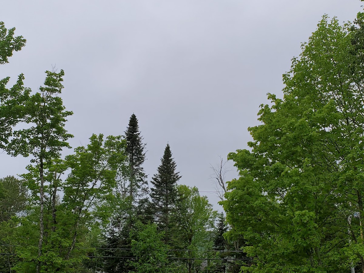 Portage Lake