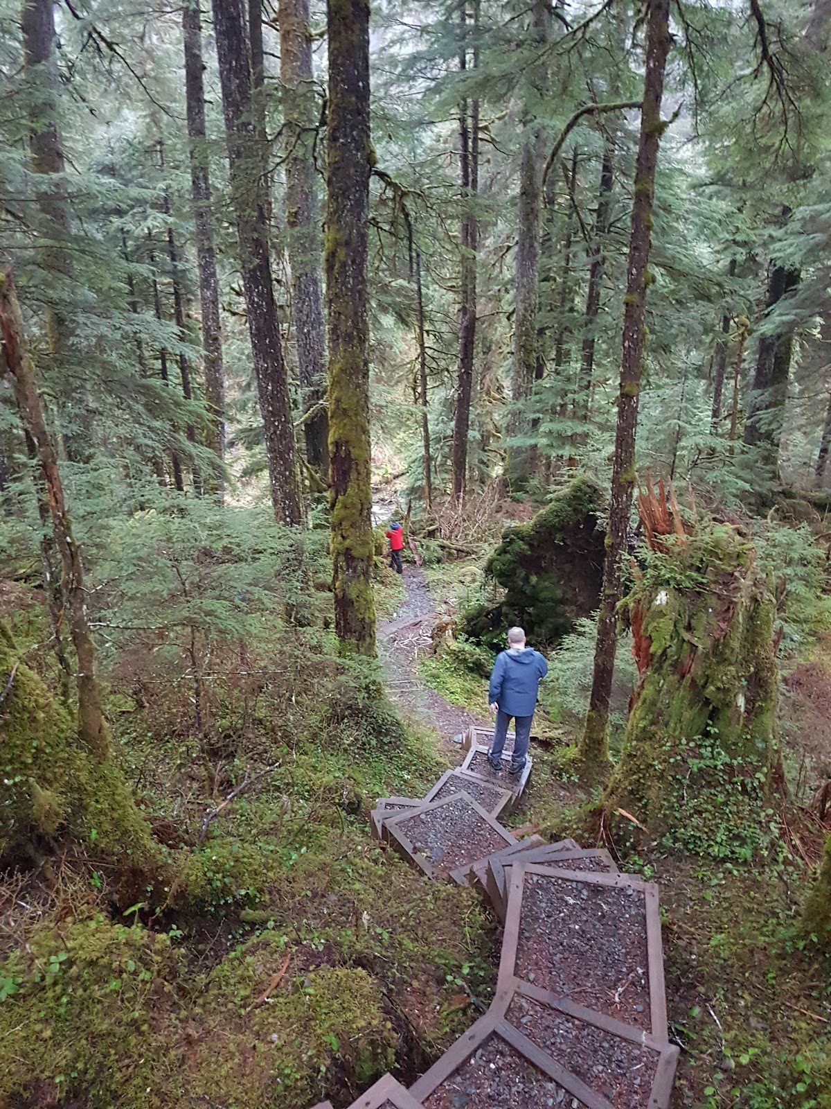 Montana Creek