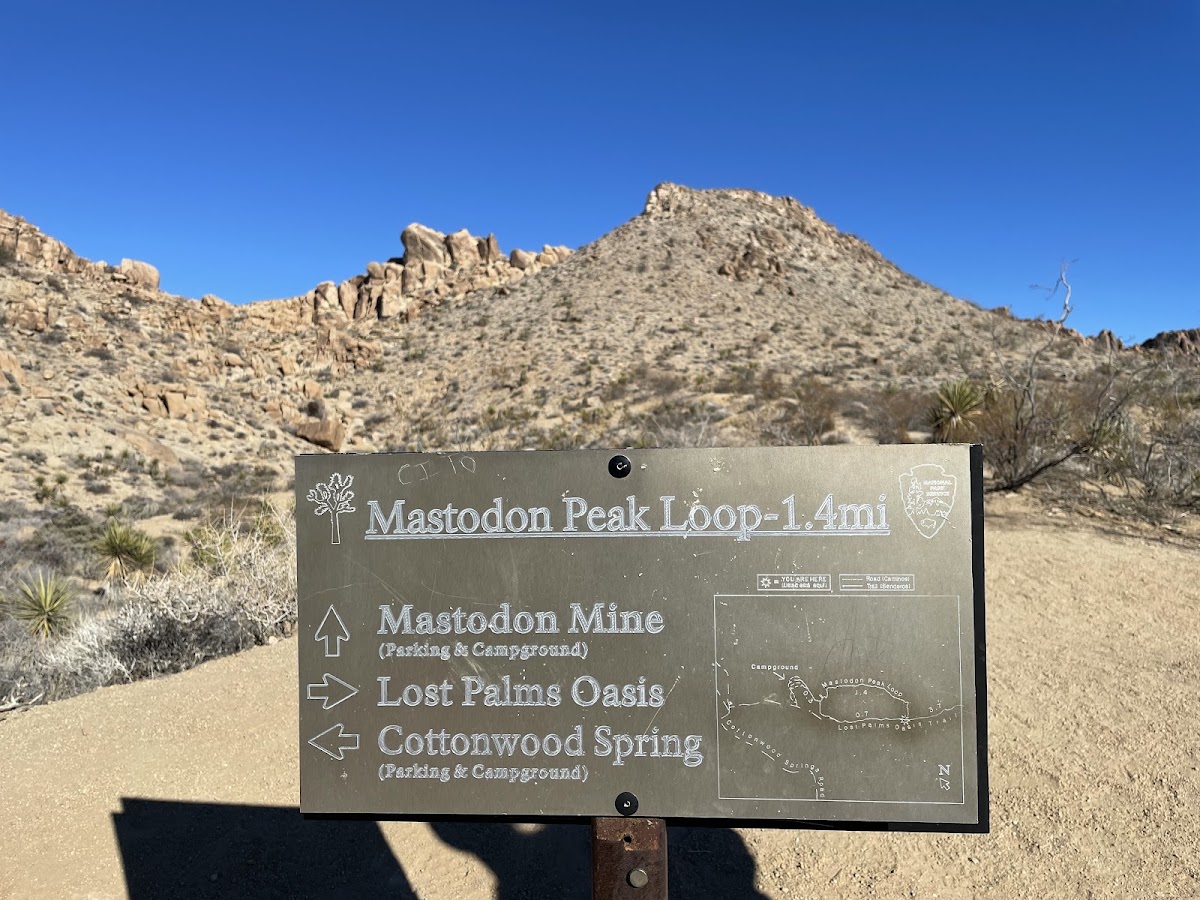 Mastodon Mine Loop Trail