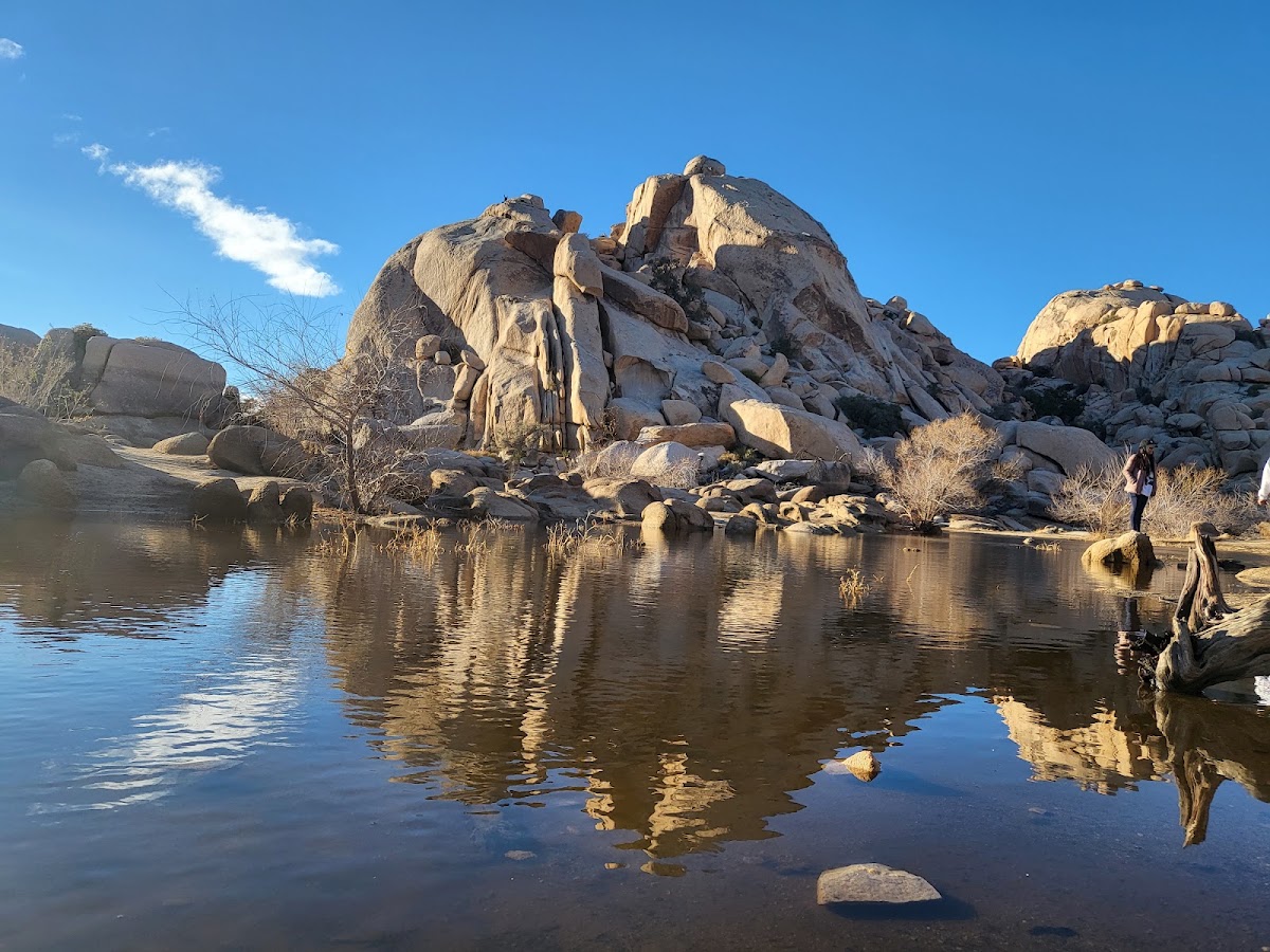 Barker Dam Nature