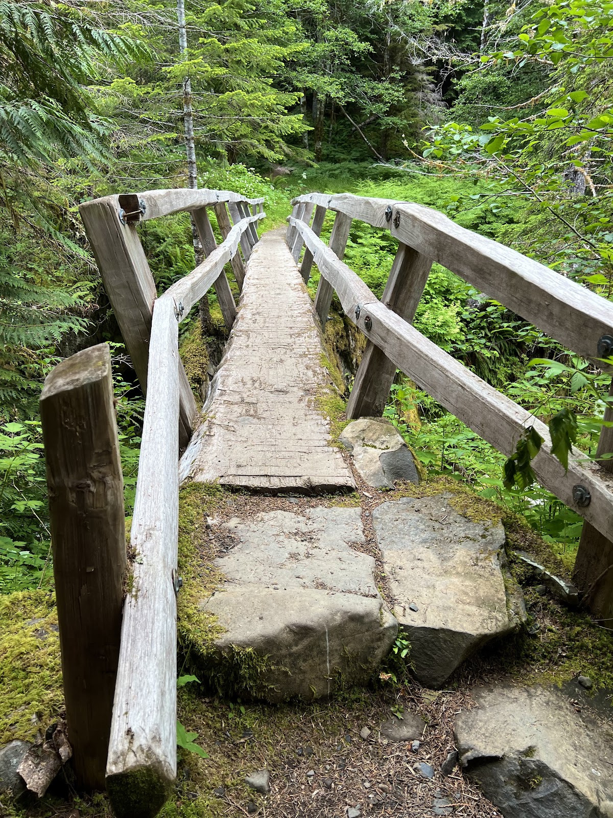 Cat Basin-Appleton Pass Way Trail