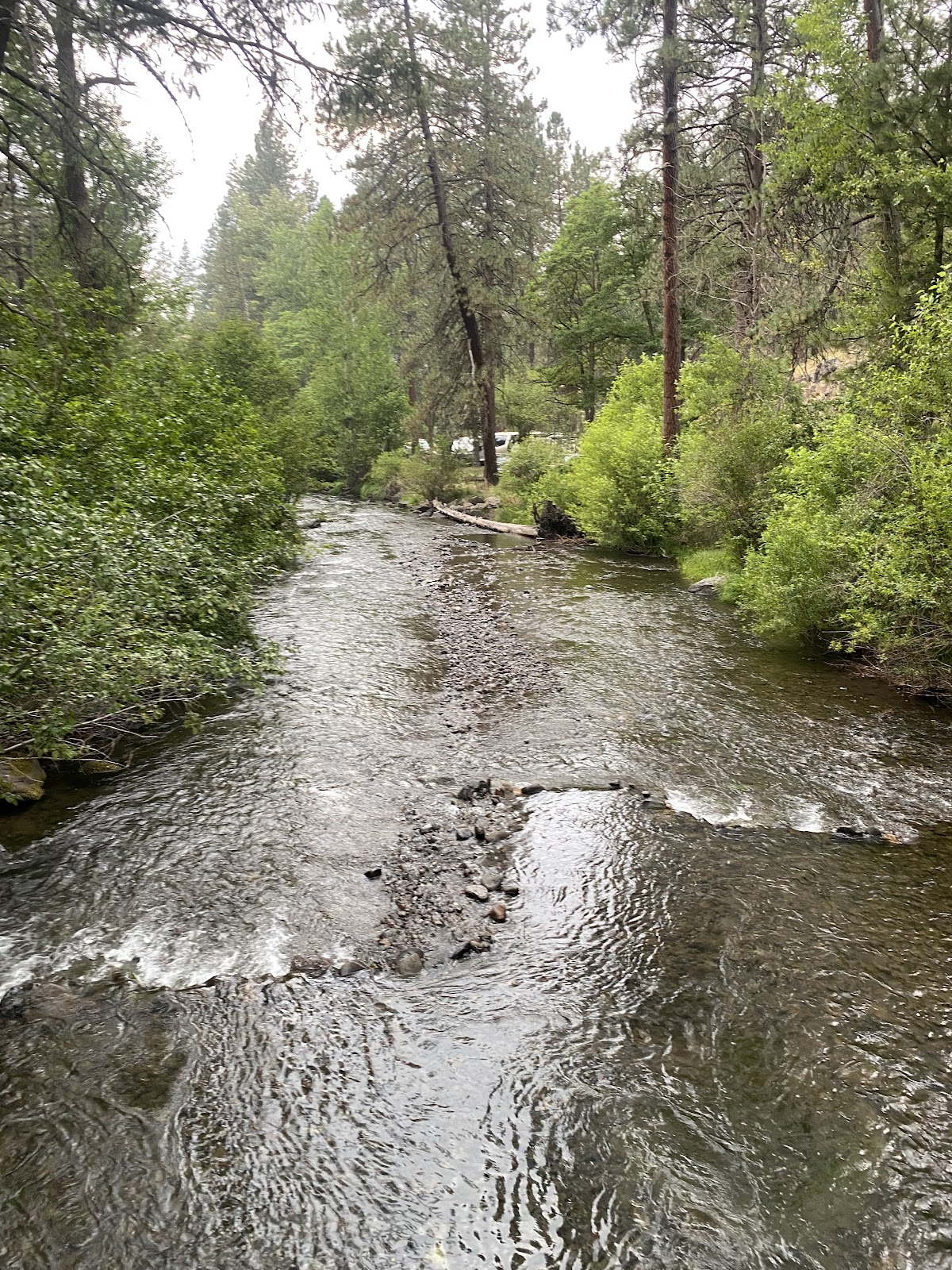 Catherine Creek