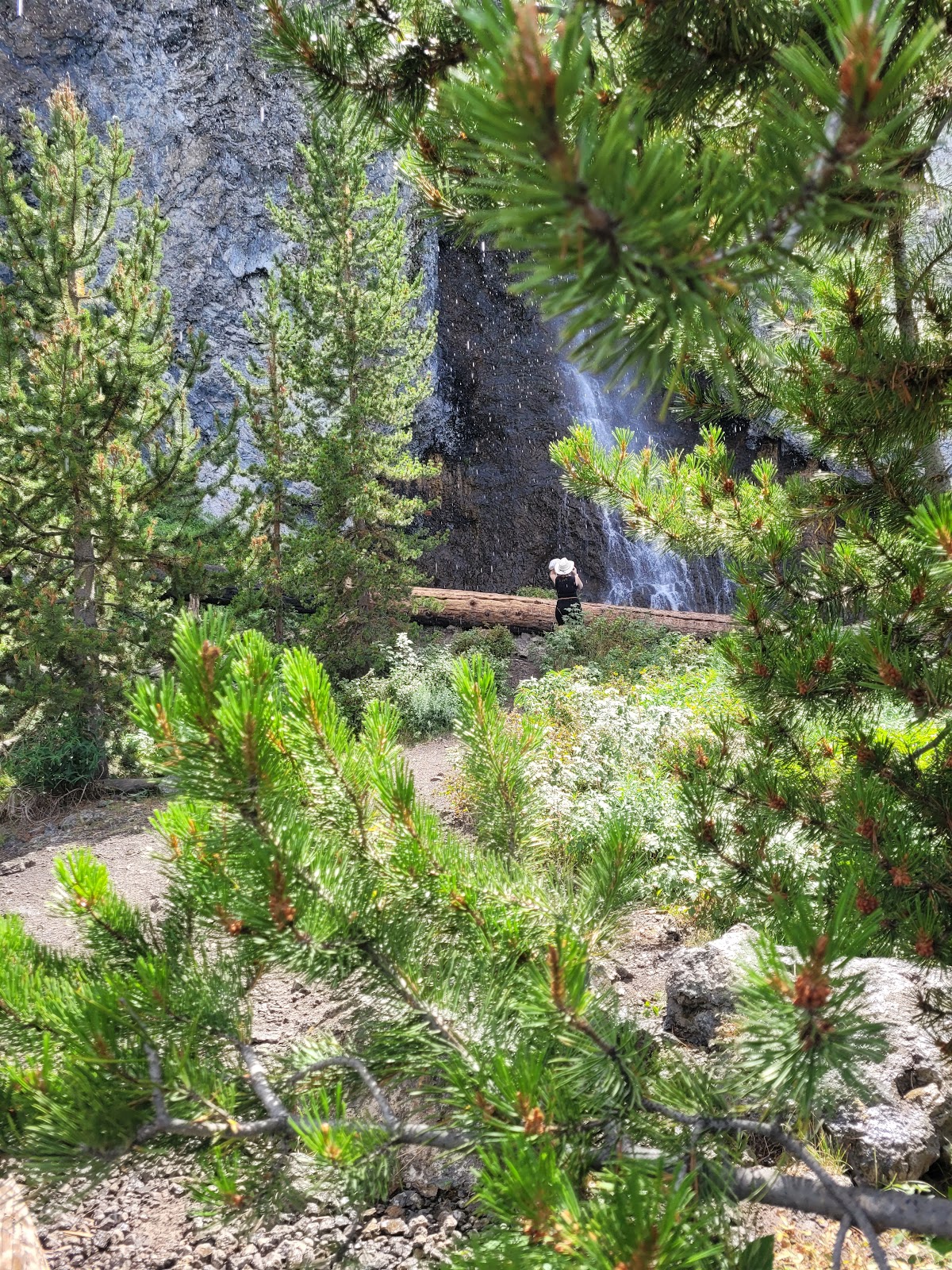 Fairy Creek