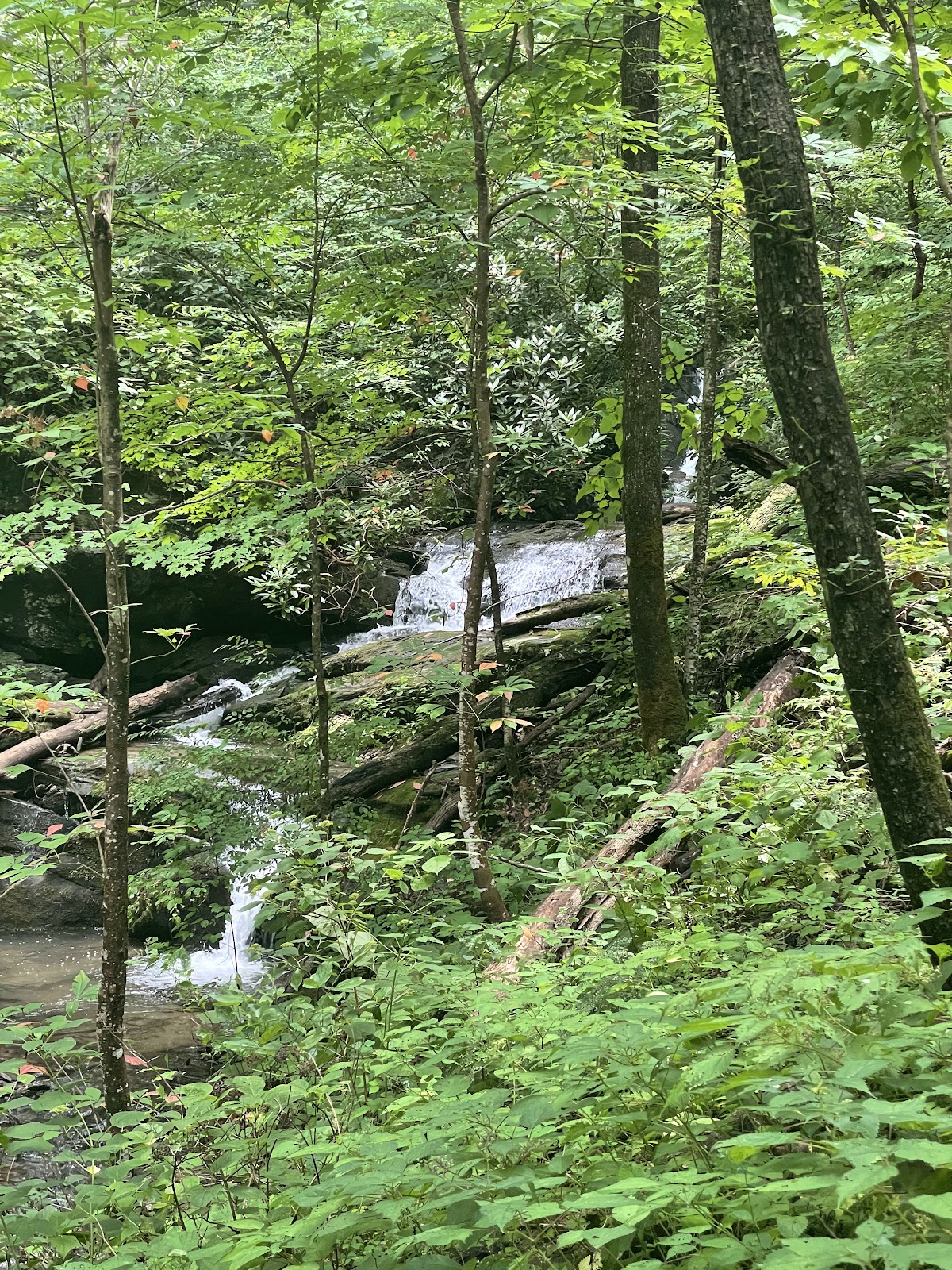 Appalachian Trail