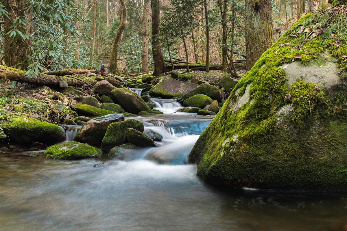 Lower Mount Cammerer Trail