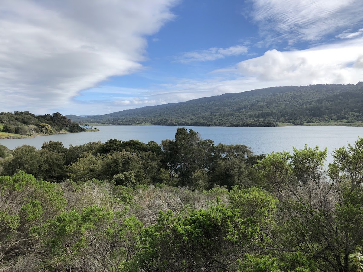 Upper Crystal Springs Reservoir