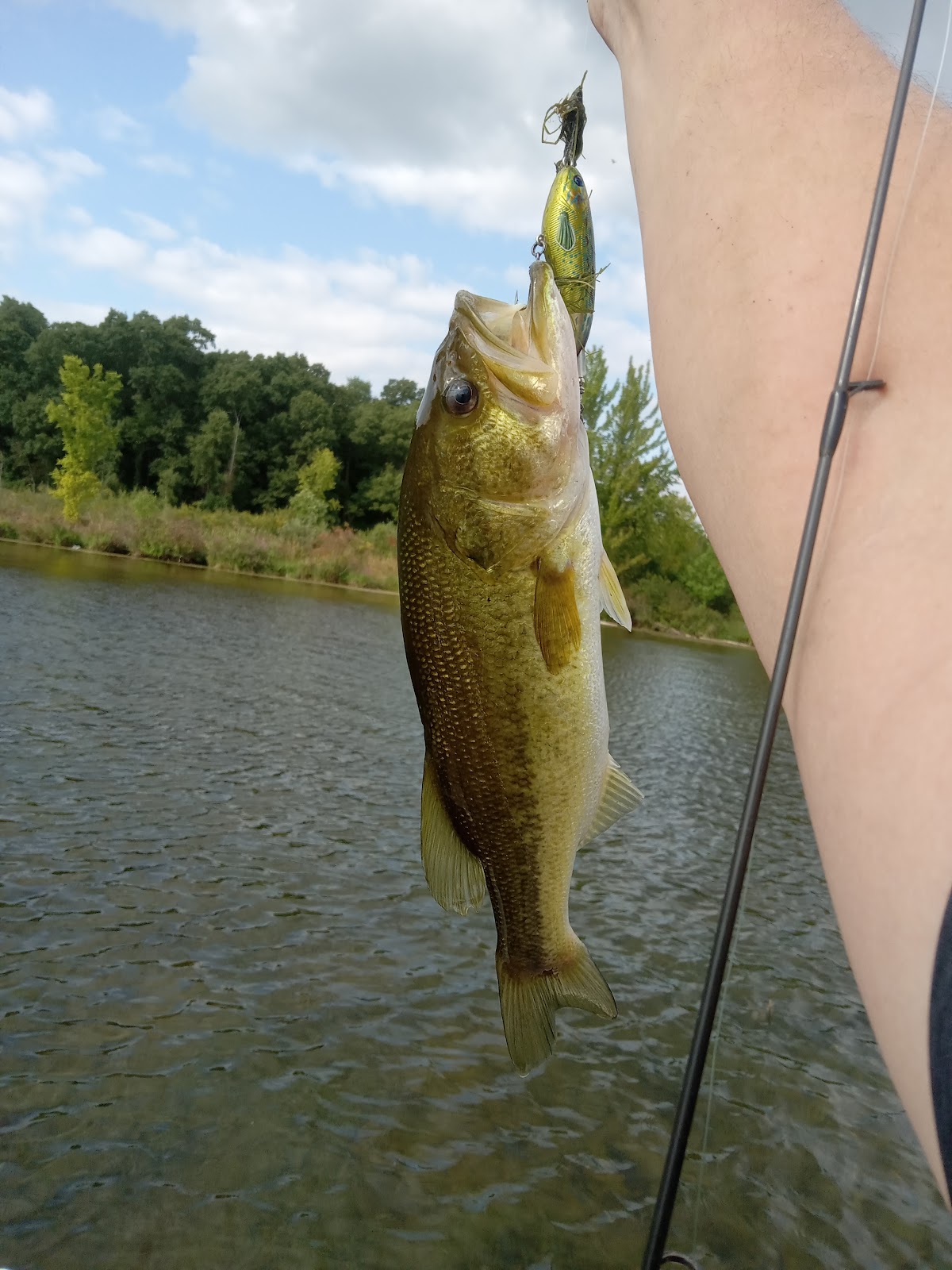Painter/Juno/Christiana Lake