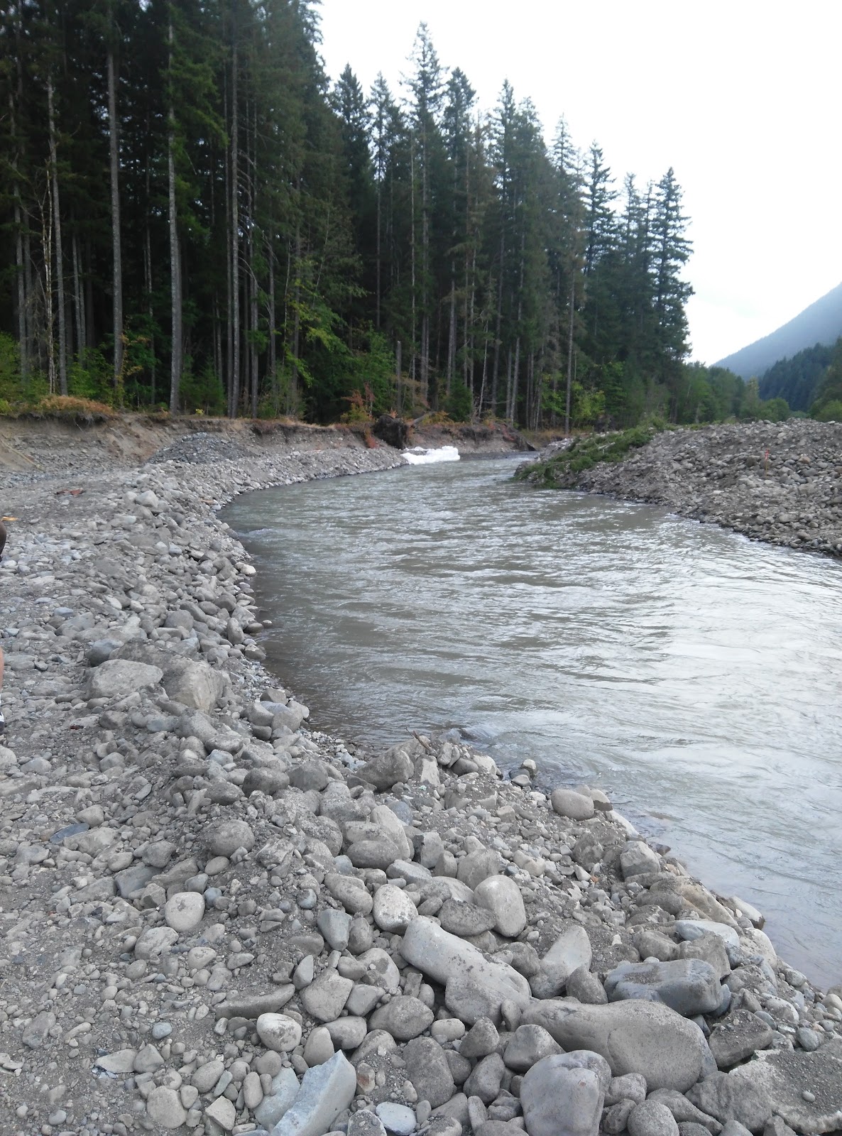Cispus River