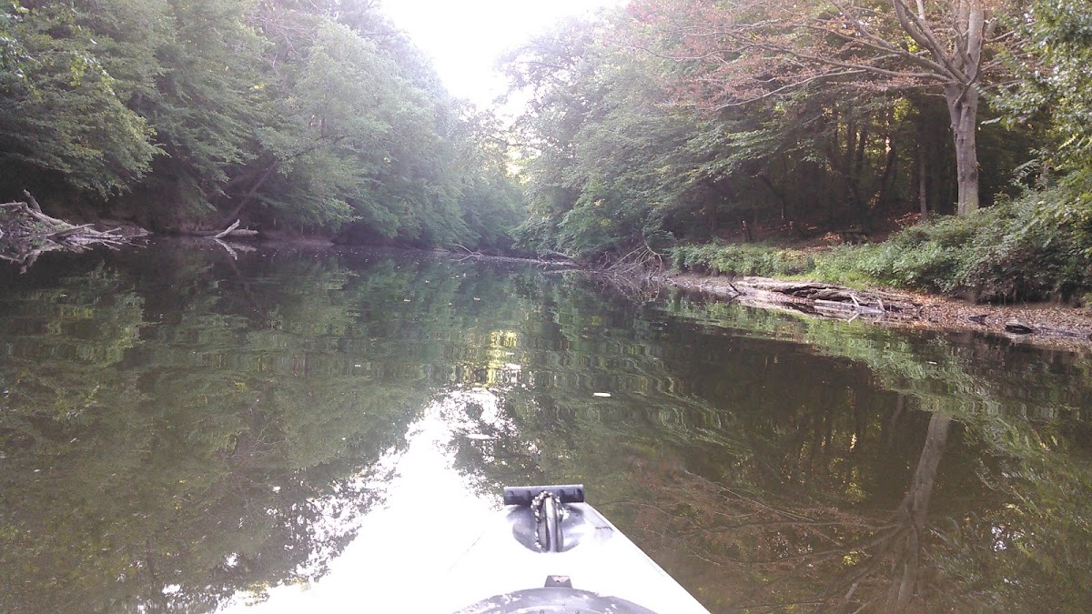 Swift Creek