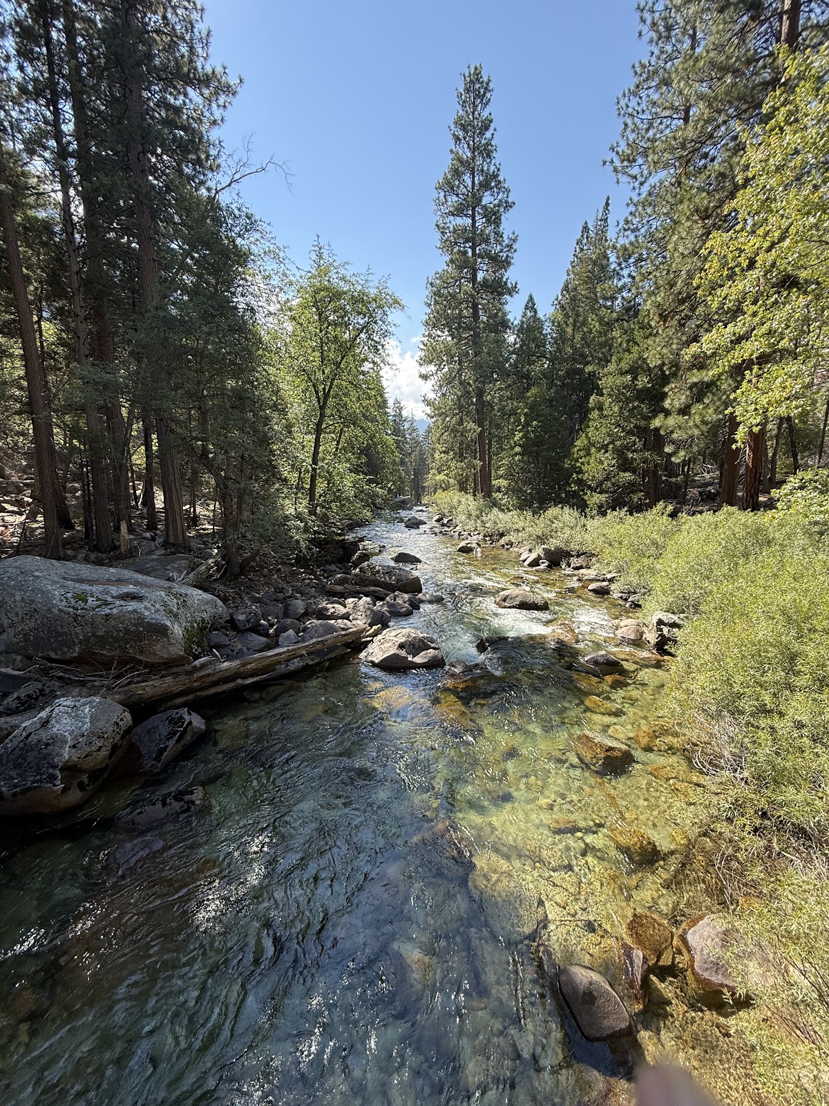 Zumwalt Meadow Loop Trail