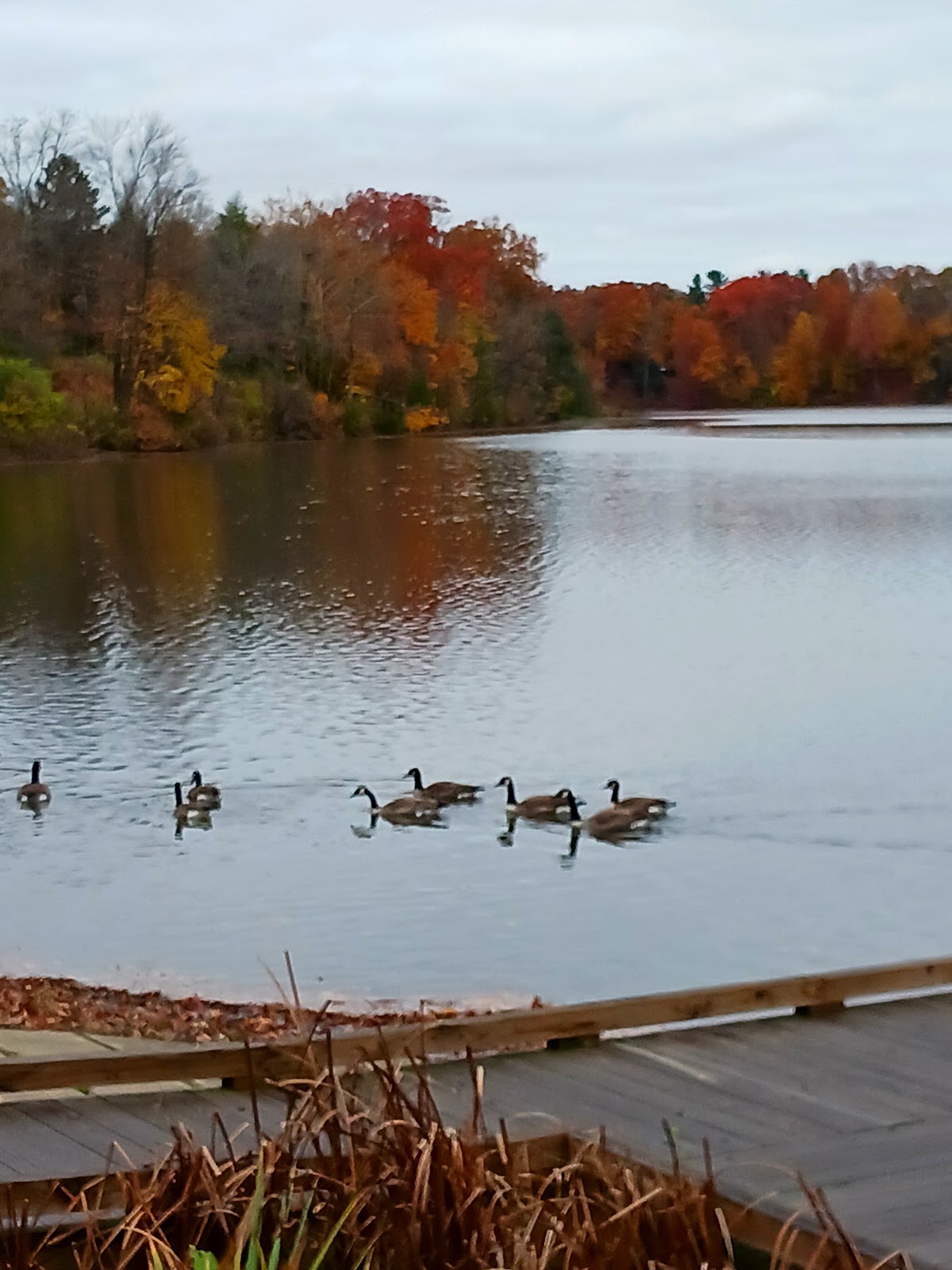 Newport Lake