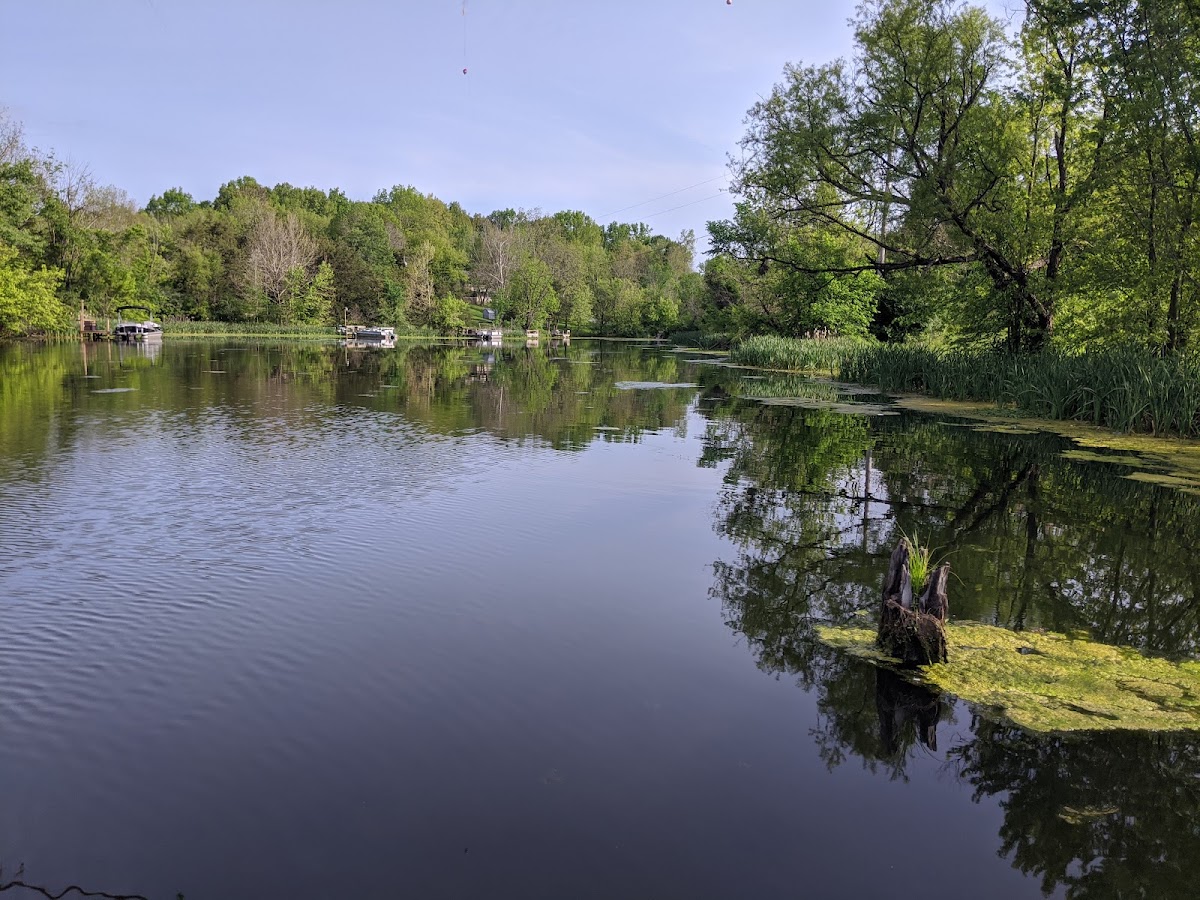 Beaver Lake