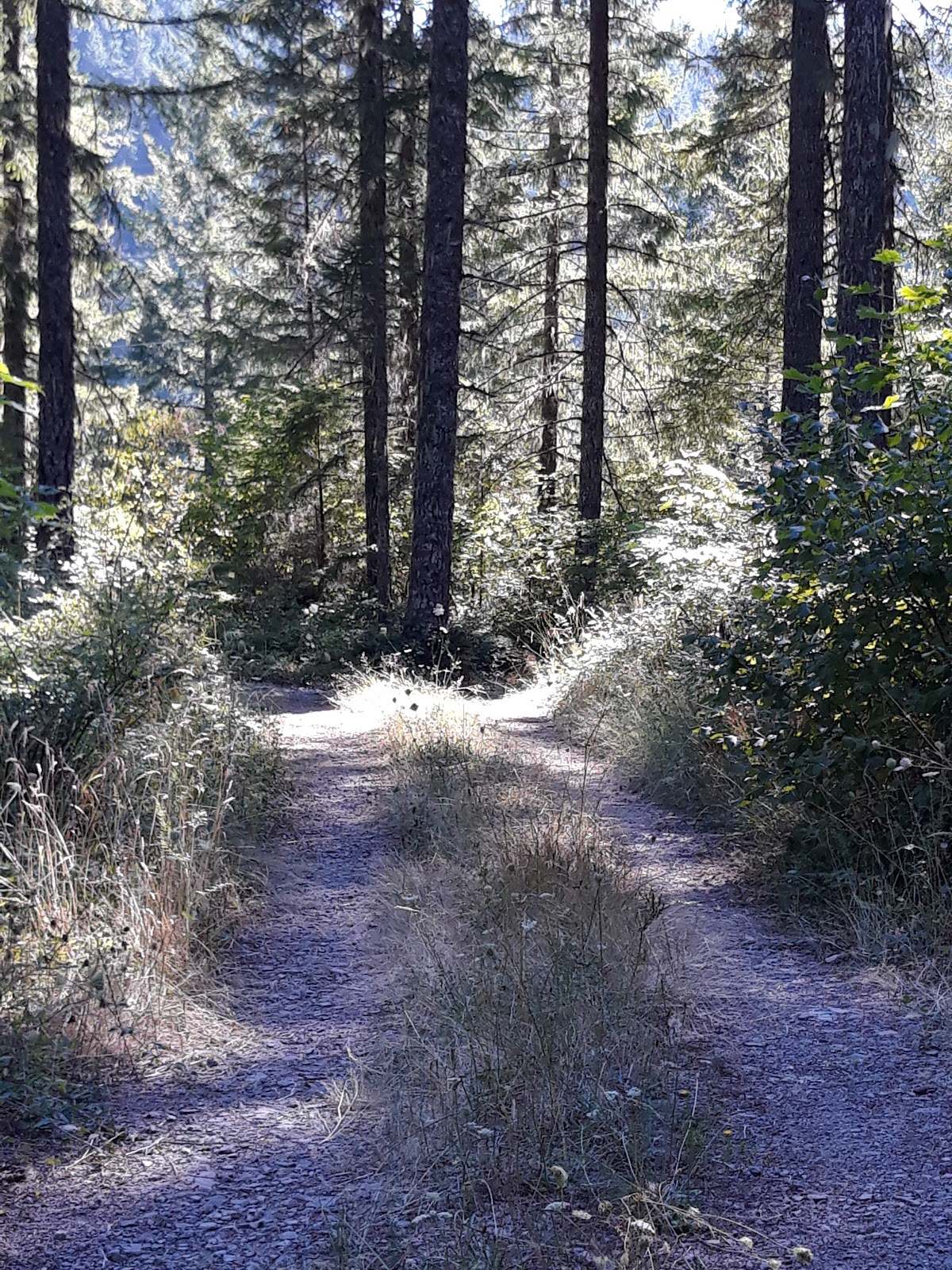 Oak Grove Fork Clackamas River