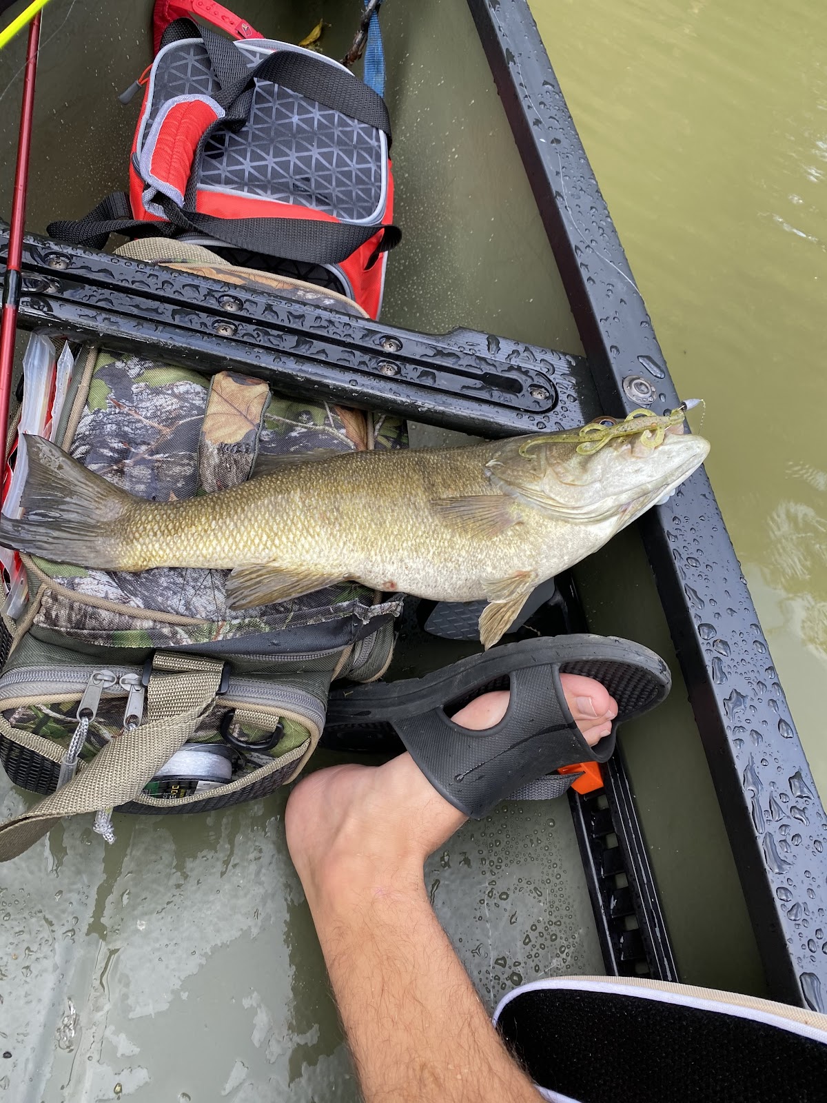 Brashears Creek