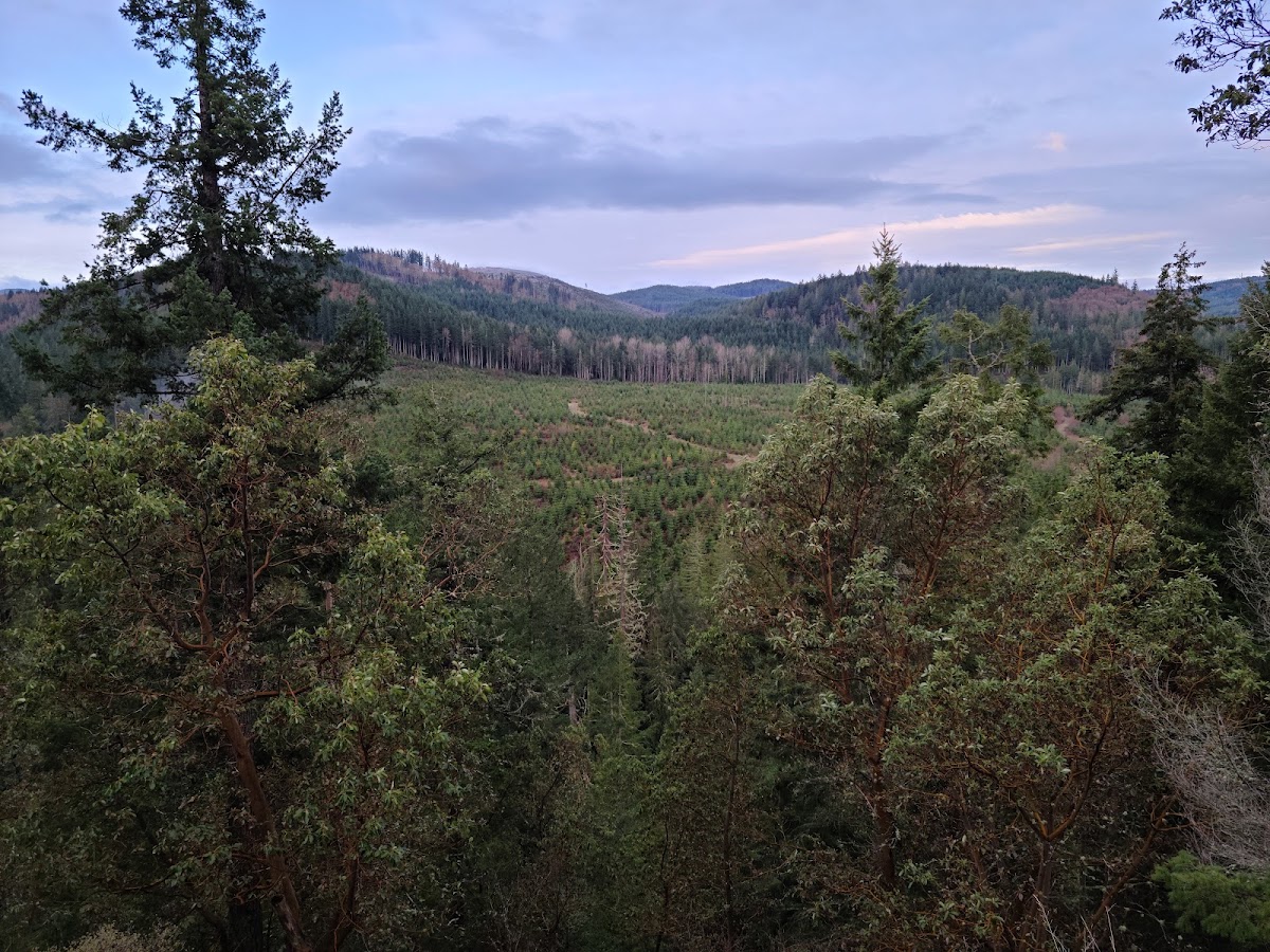 Nisqually River