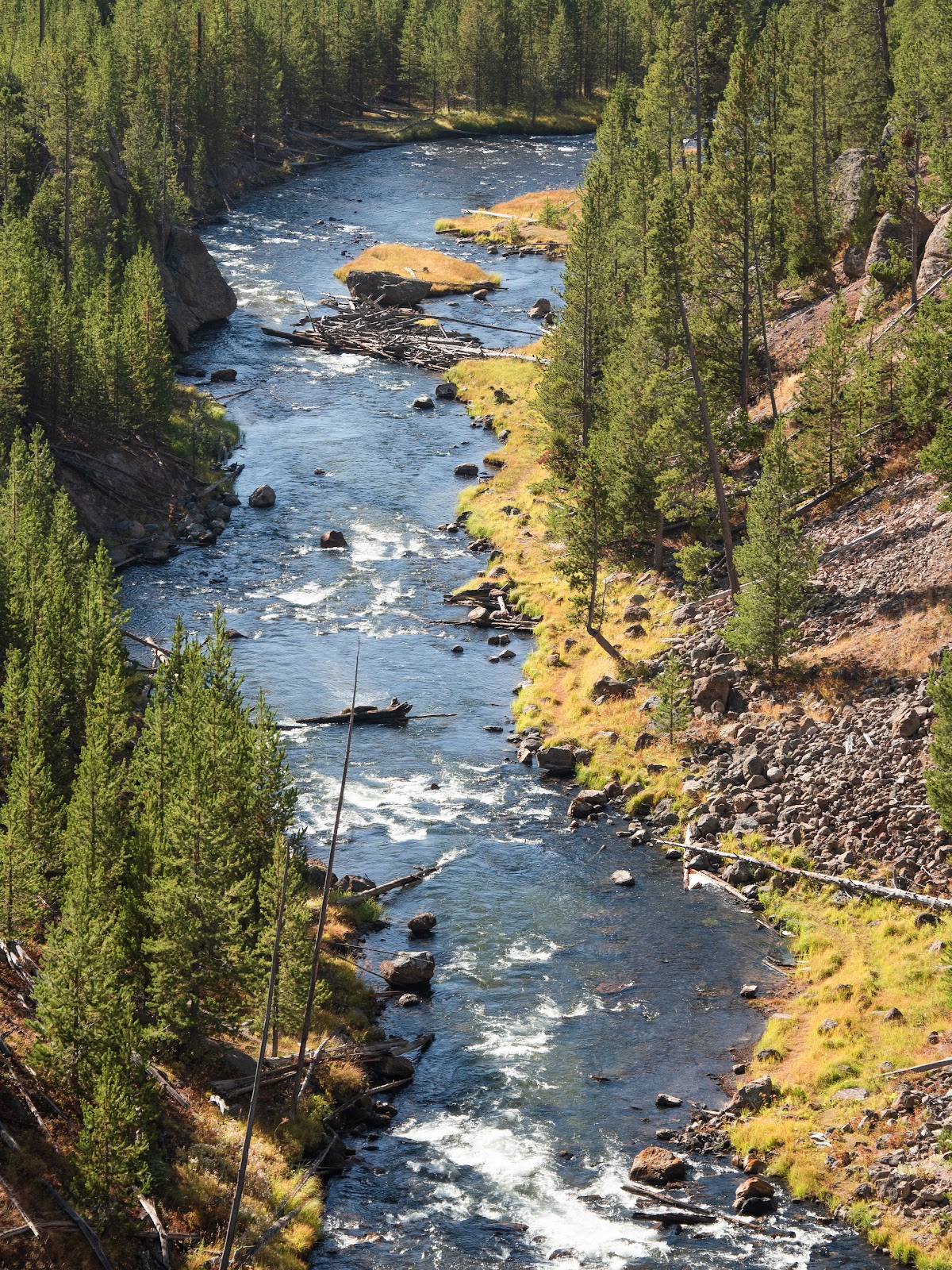 Gibbon River