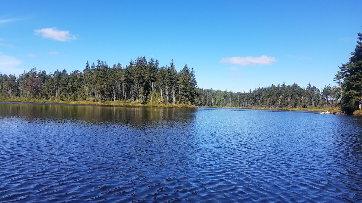 Branch Pond