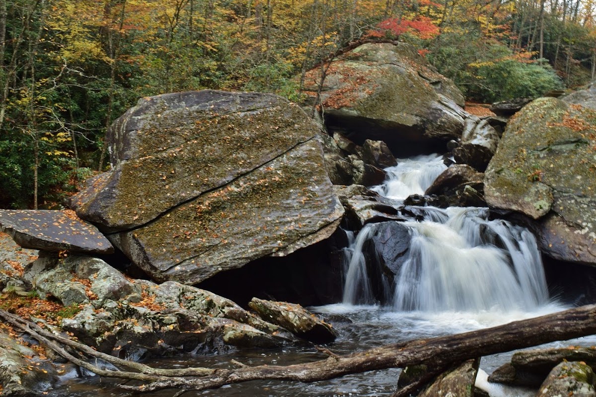 Boone Fork Trail
