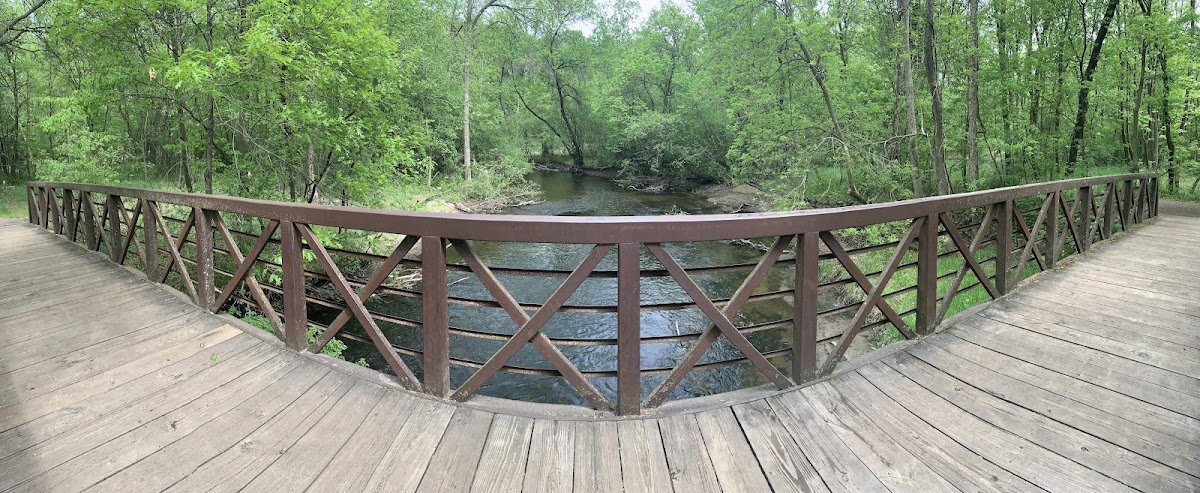Rice Creek