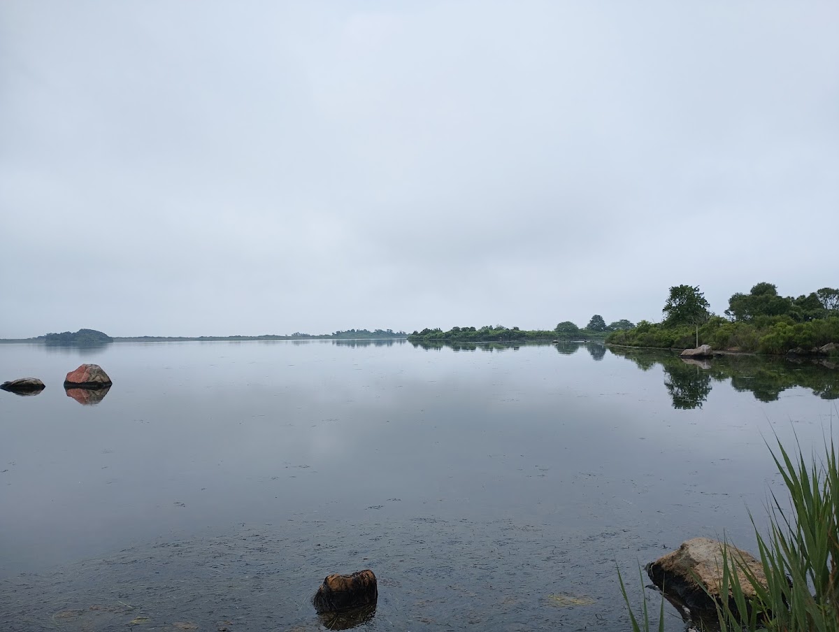 Ninigret Pond