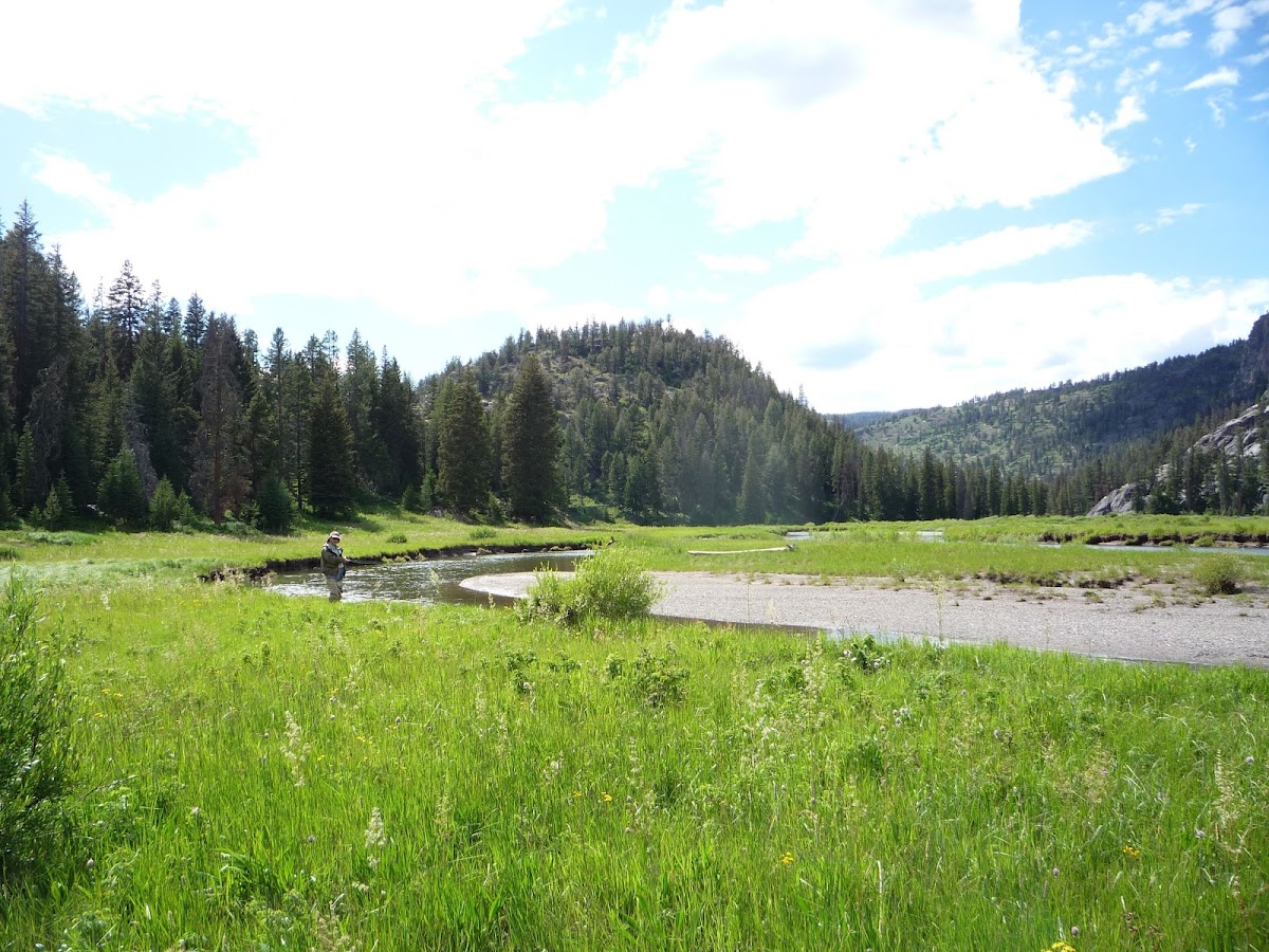 Slough Creek