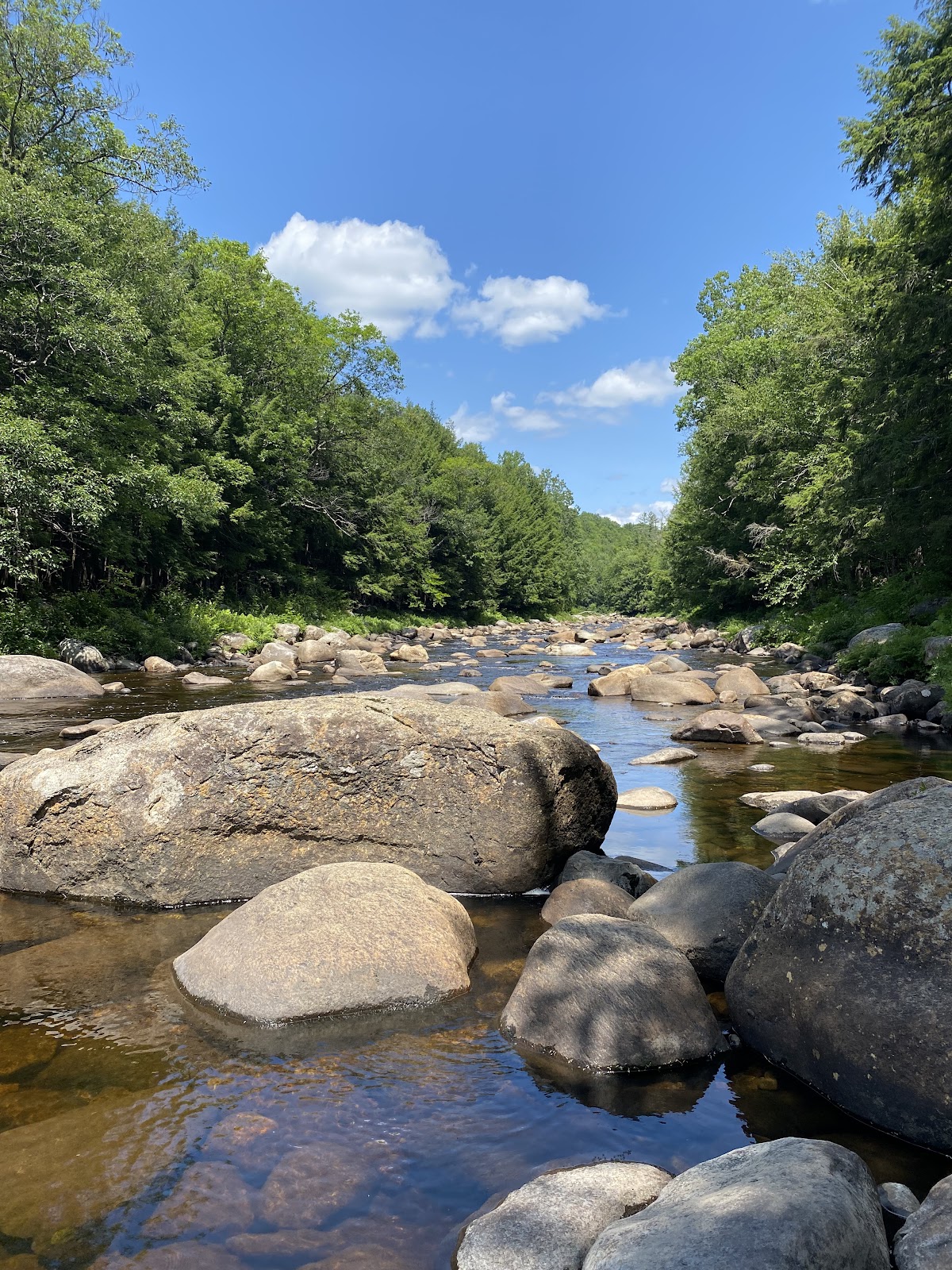 East Branch Sacandaga River