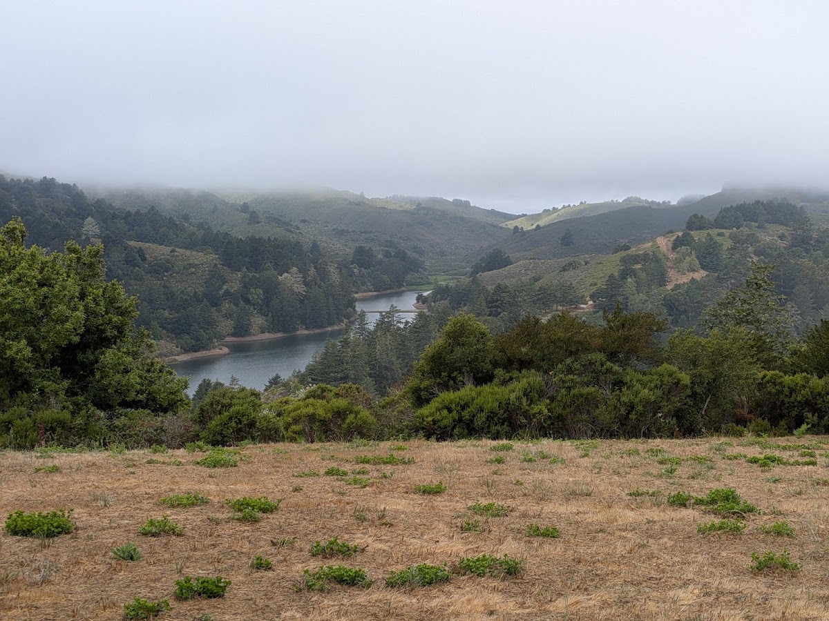 Fifield Ridge Road