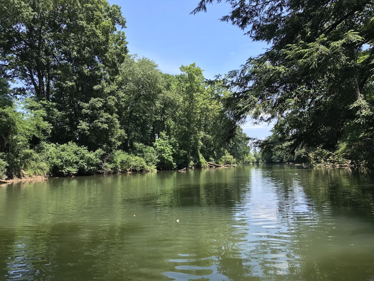 Buckhannon River