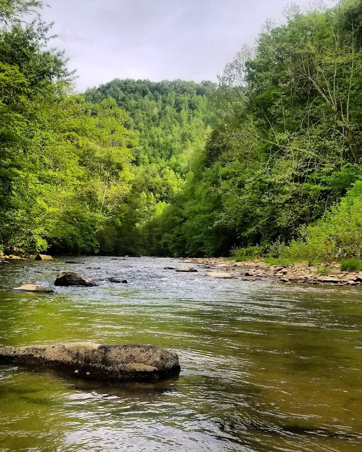 Middle Fork Kentucky River