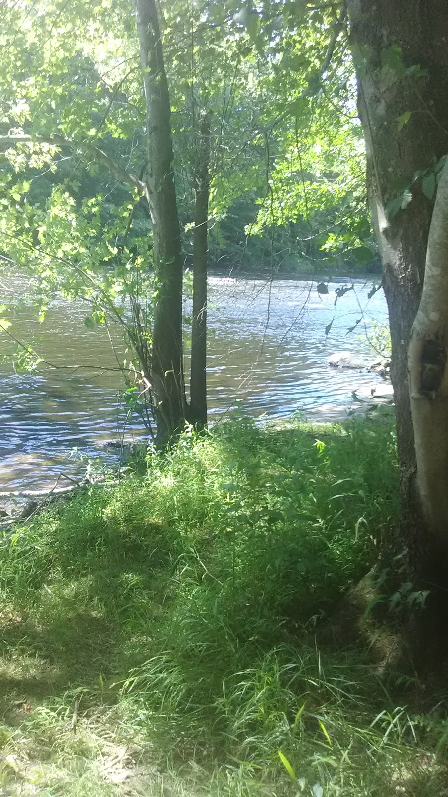 Five Mile River