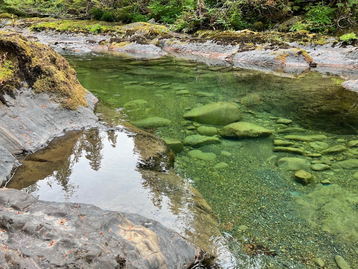 North Fork Sol Duc River Trail