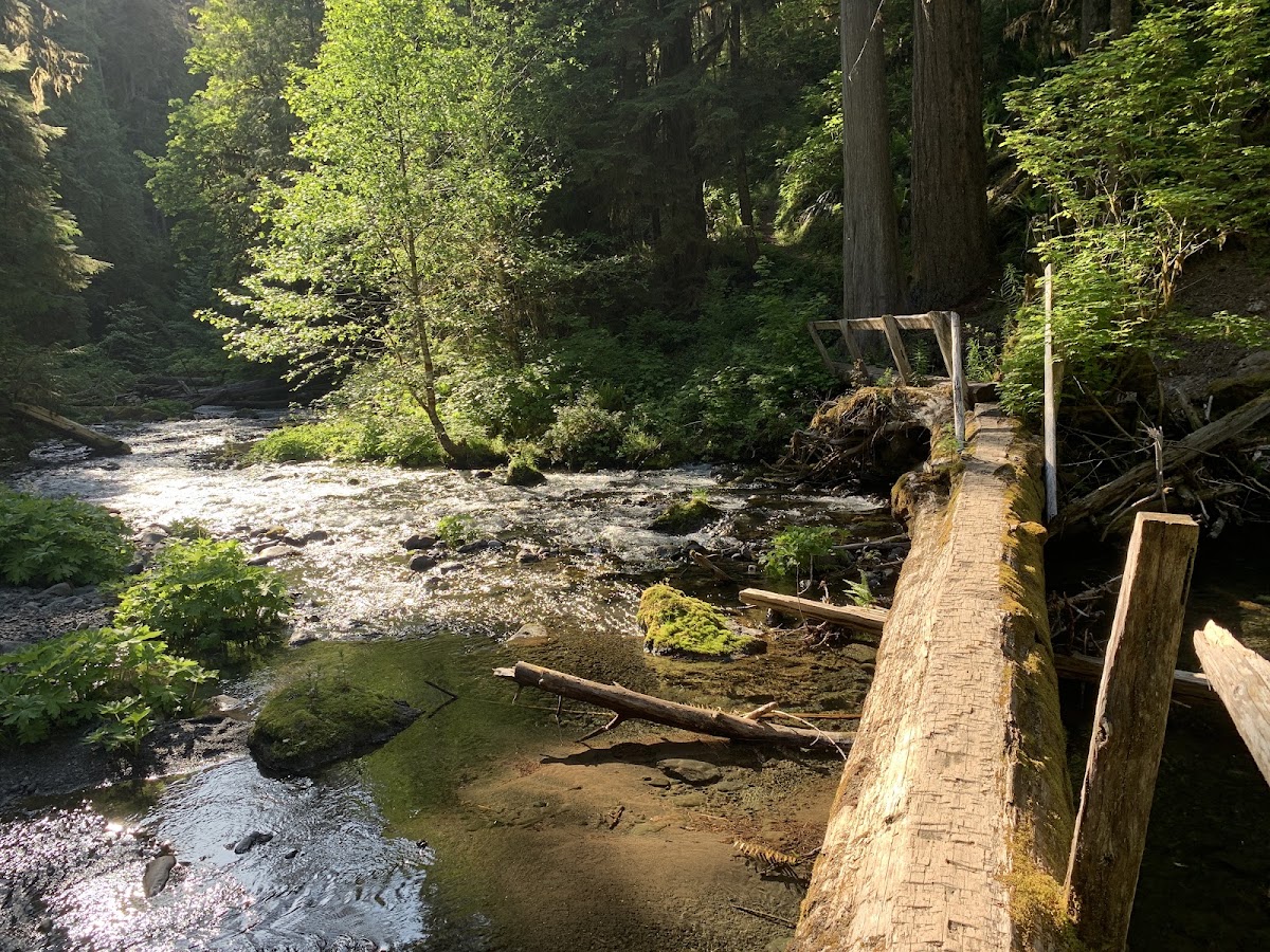 Upper Barnes Creek Trail