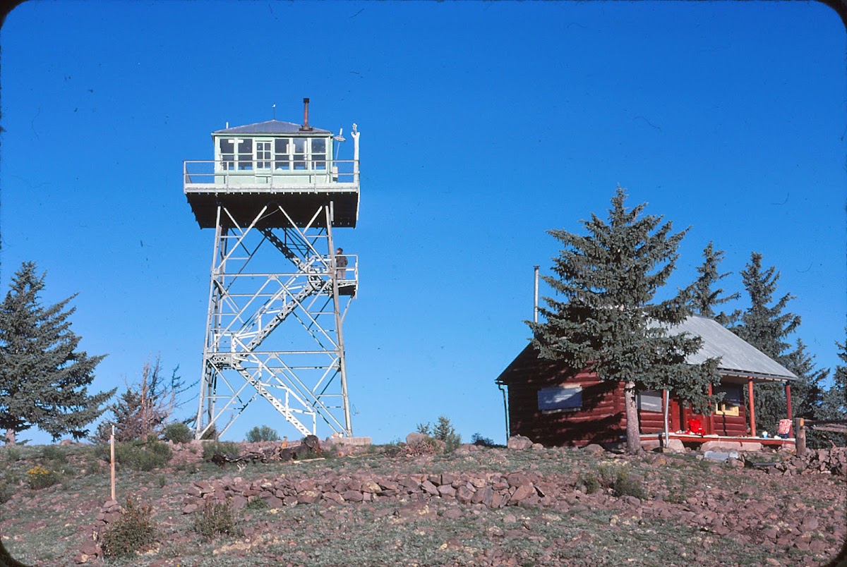 Mogollon Baldy Trail #152