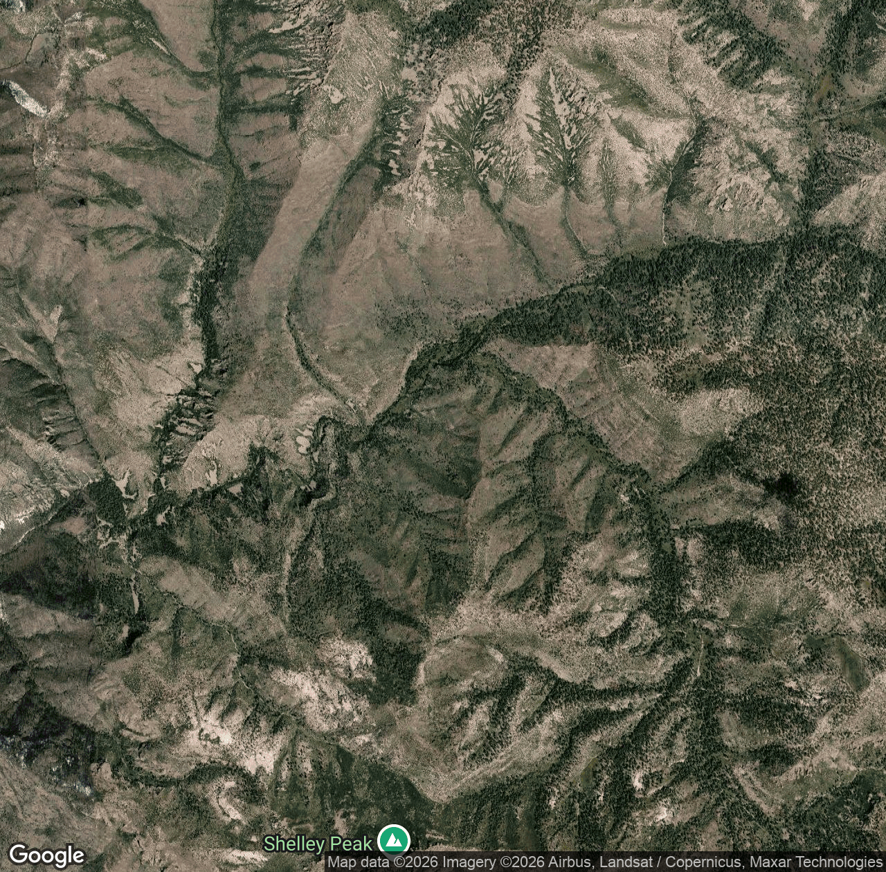 Mogollon Creek Trail #153