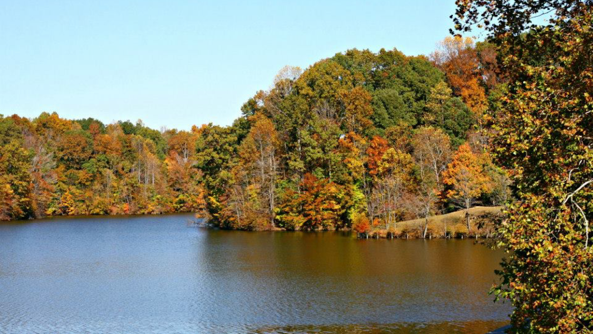 Fryne Lake