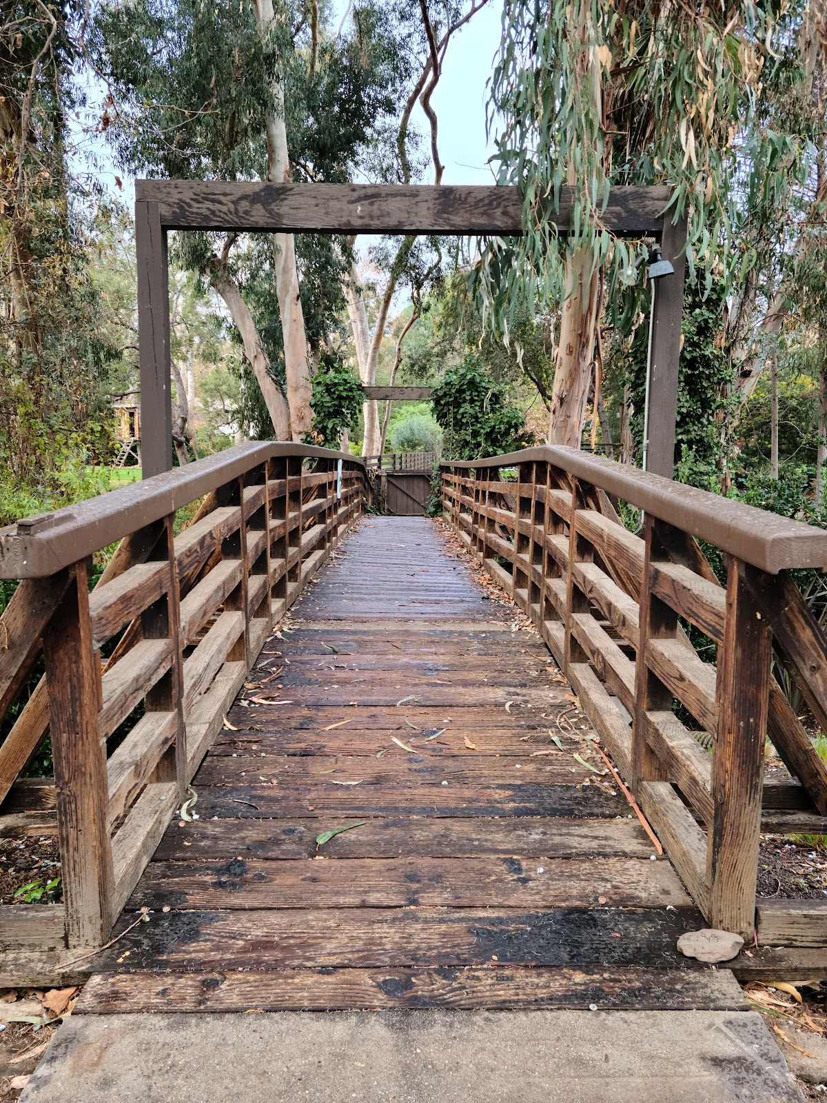 Rustic Creek