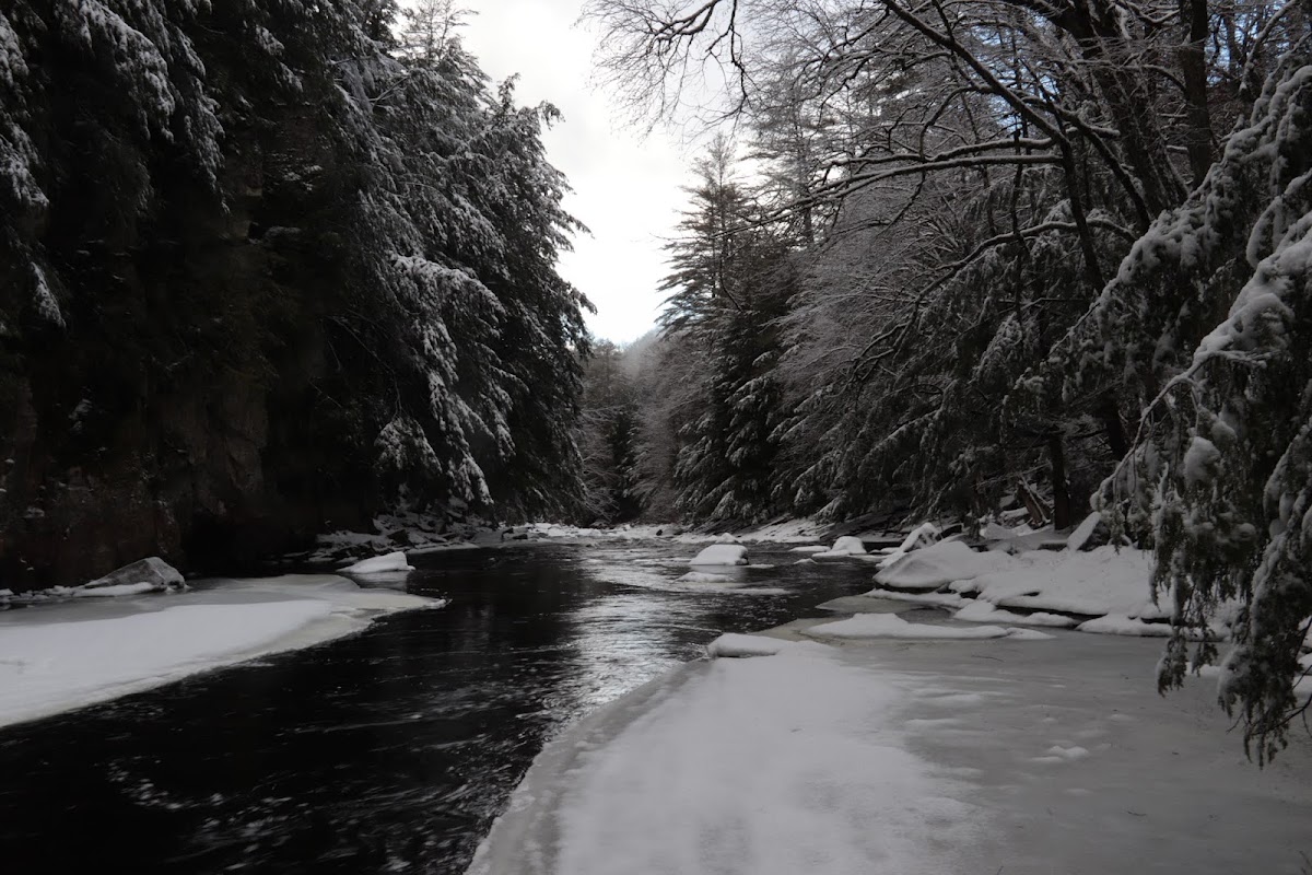 East Stony Creek