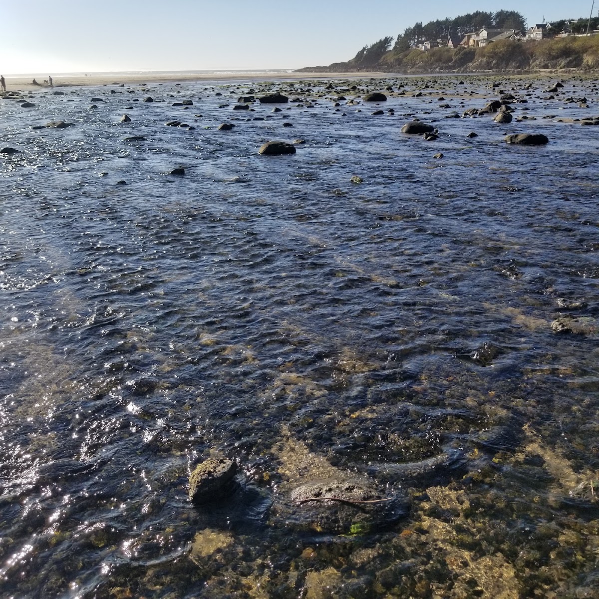 Yachats River