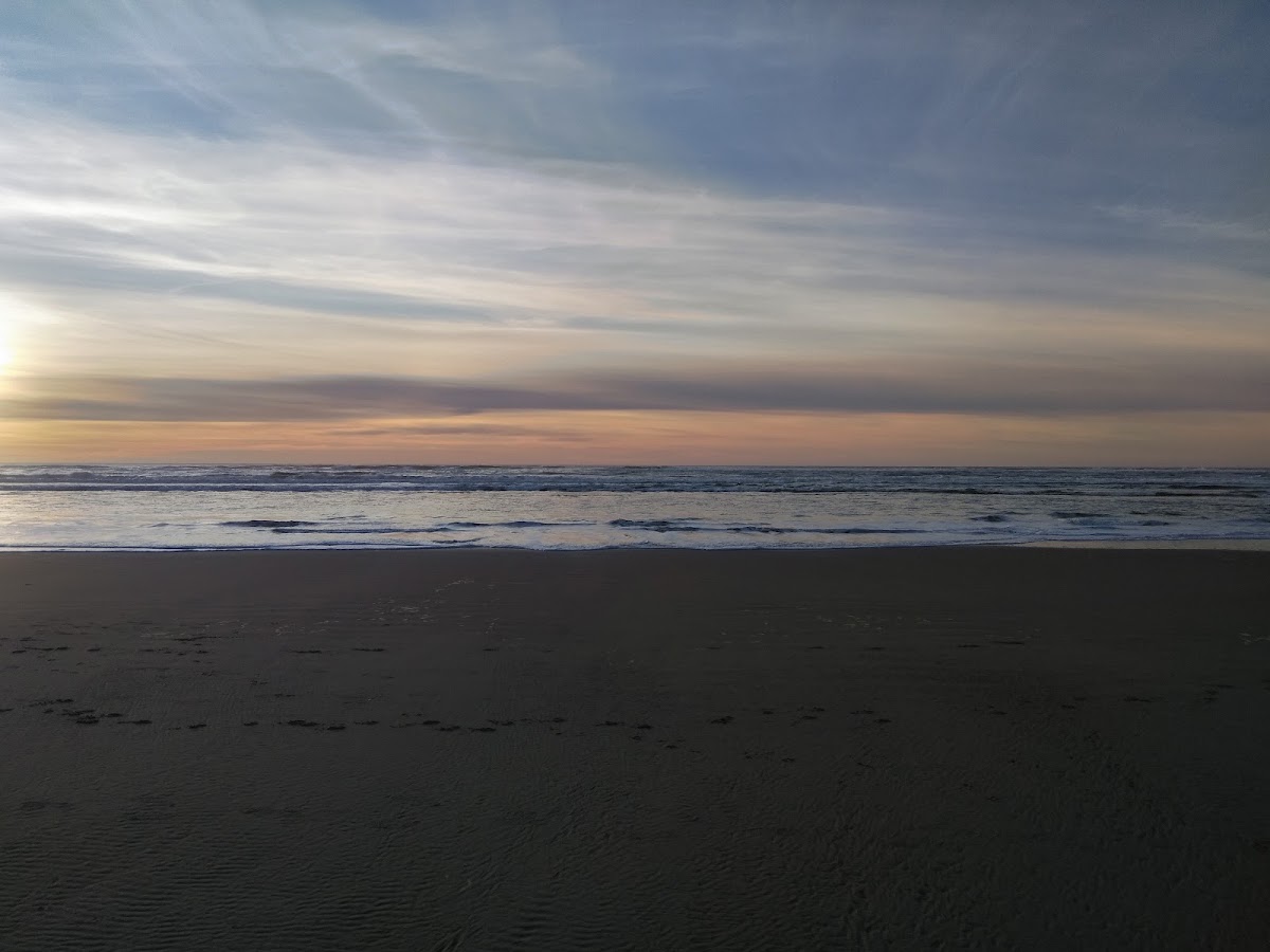 Big Stump Beach
